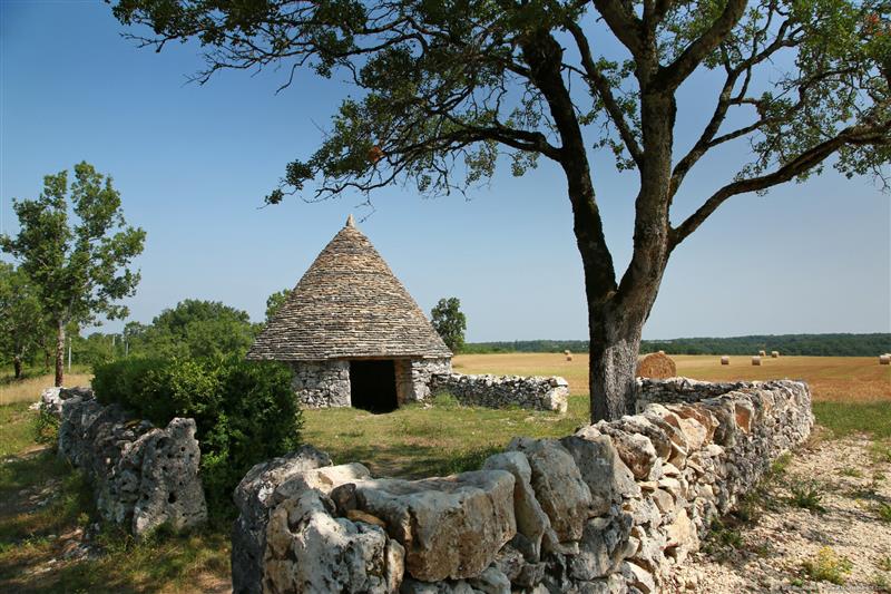Lalbenque - Cazelle de Nouel