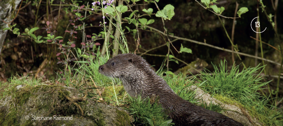Mois du film documentaire à Cahors, Cahors - photo 2
