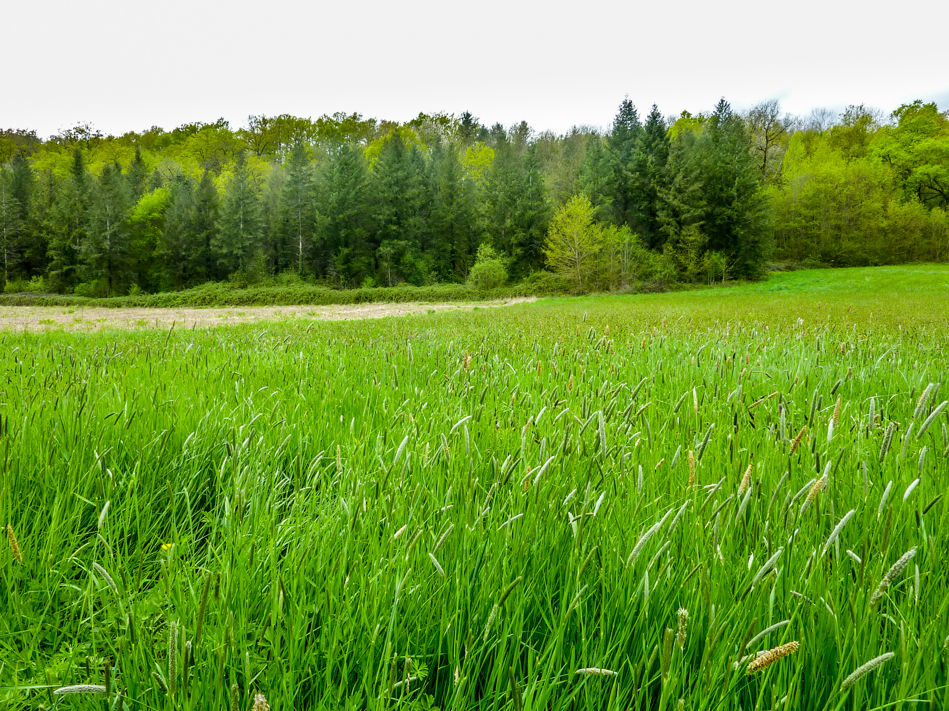 Laprade - Bosquet de Laprade © Lot Tourisme - C. Sanchez