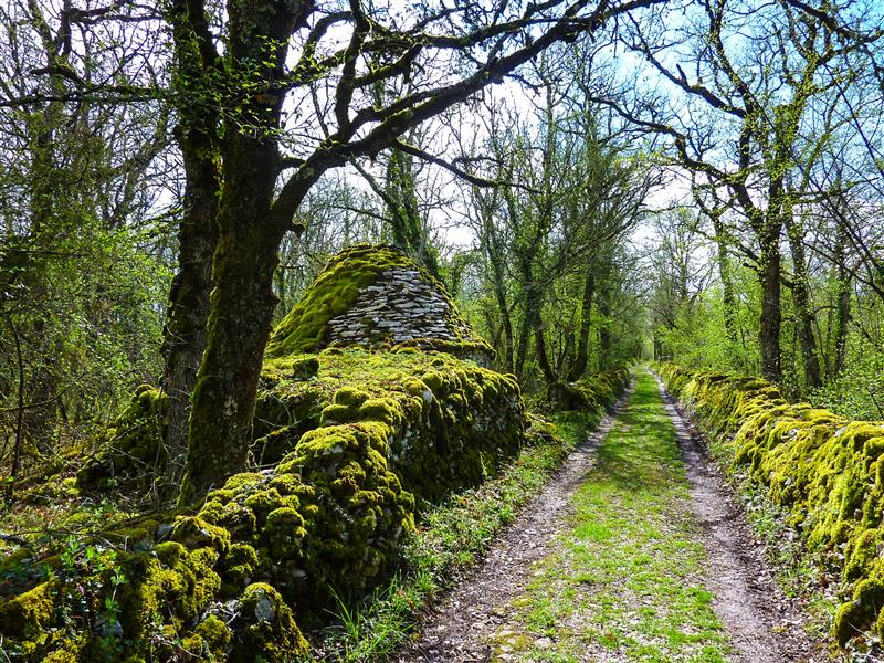 Las Cornières - Gariotte Quercynoise du Bois de Couanac © Lot Tourisme - C. Sanchez