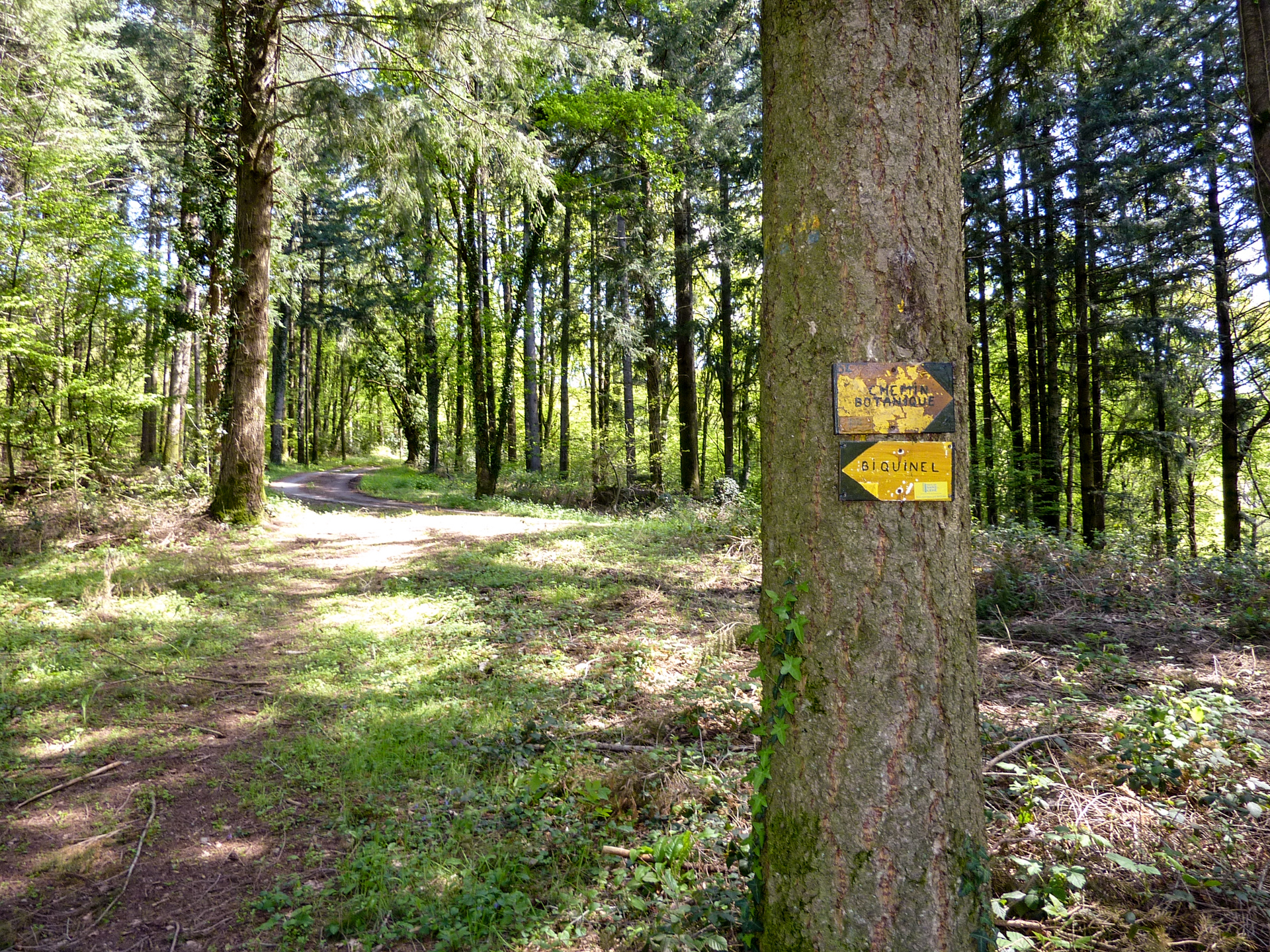 Le Sentier des Arts, Latouille-Lentillac - photo 8