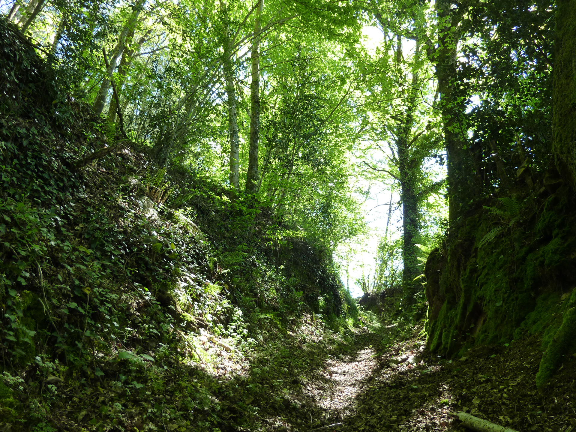 Le Sentier des Arts, Latouille-Lentillac - photo 9