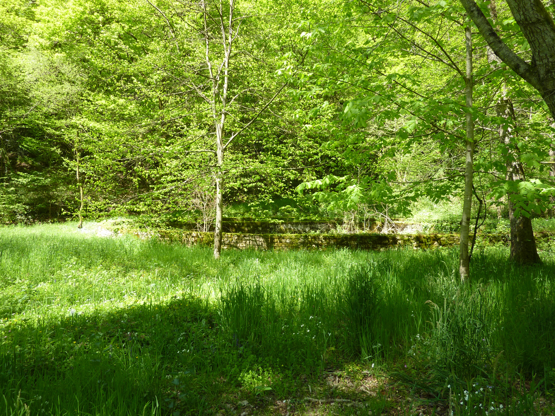 Le Sentier des Arts, Latouille-Lentillac - photo 11