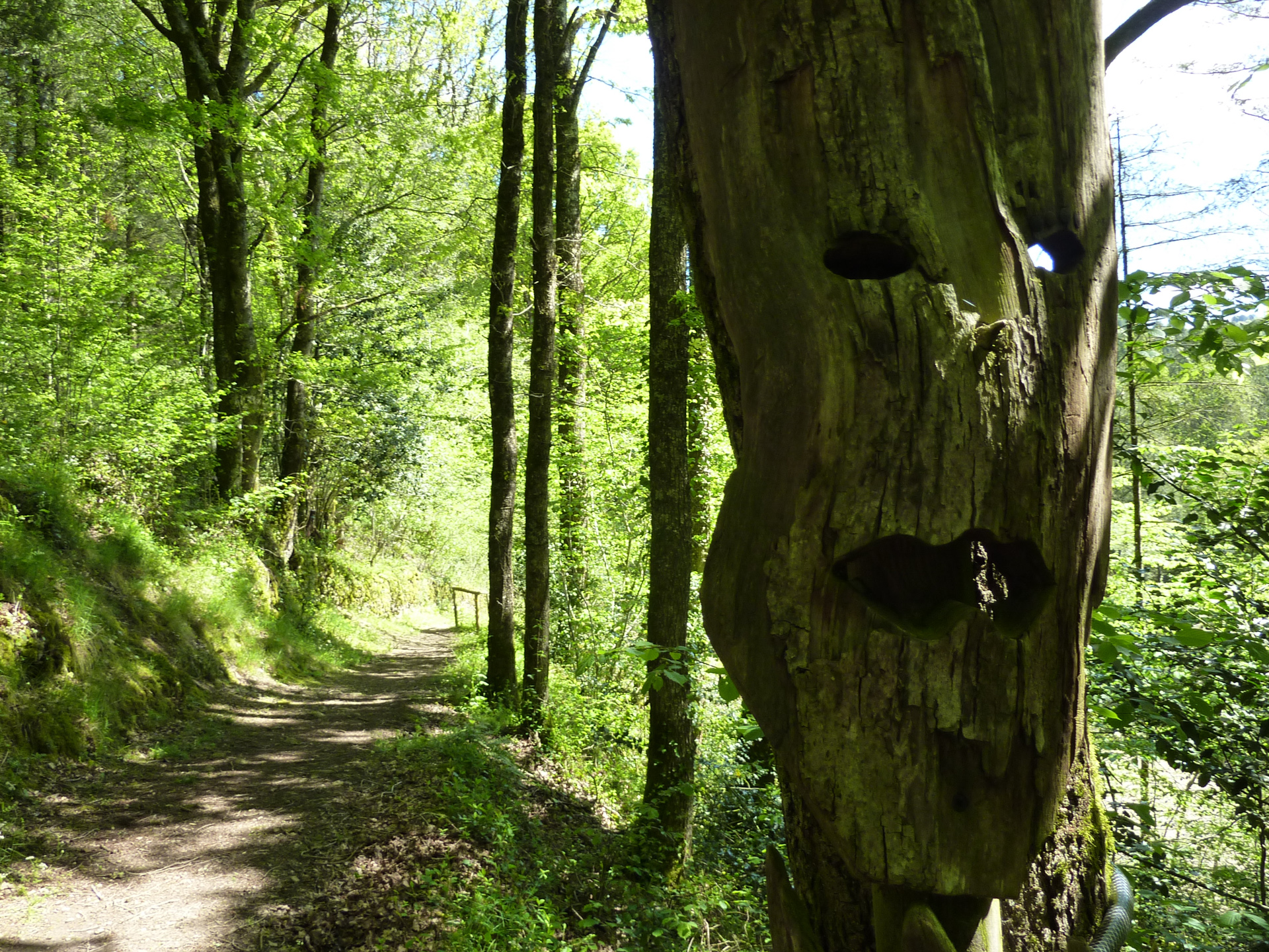 Le Sentier des Arts, Latouille-Lentillac - photo 15