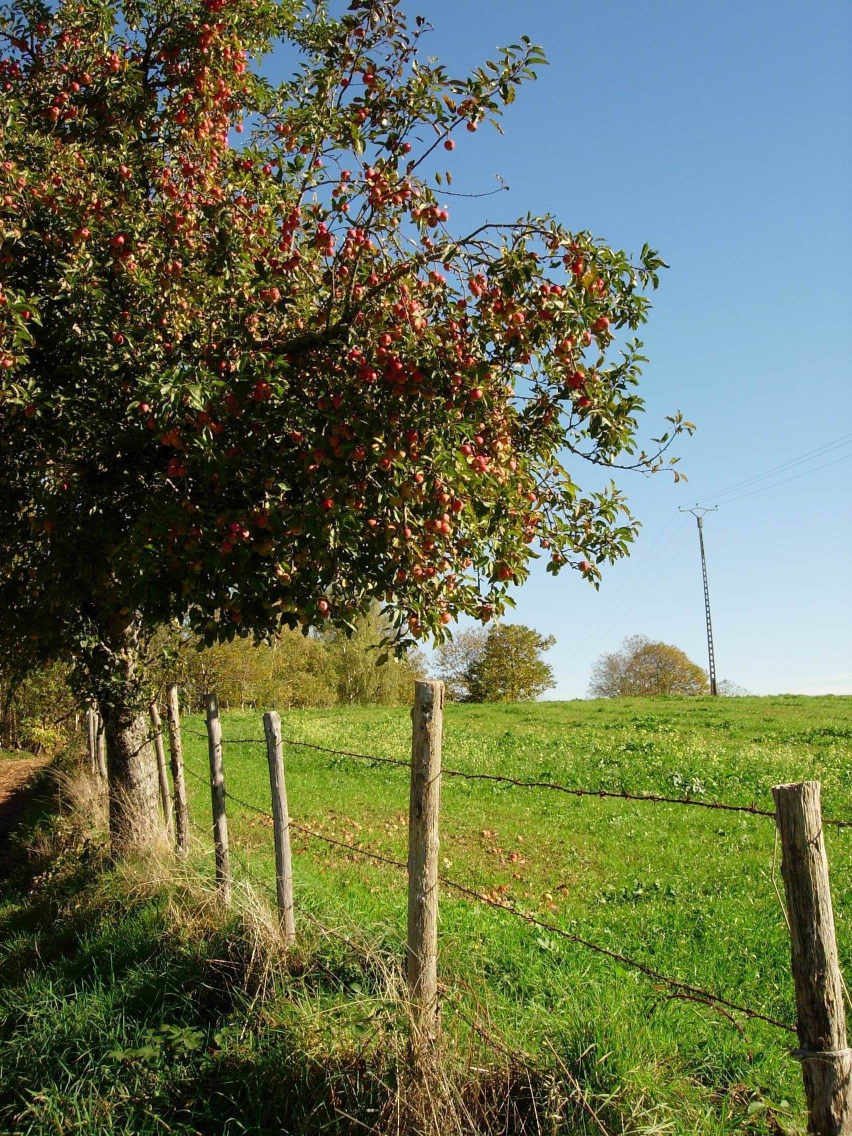 Le circuit du Roc de France