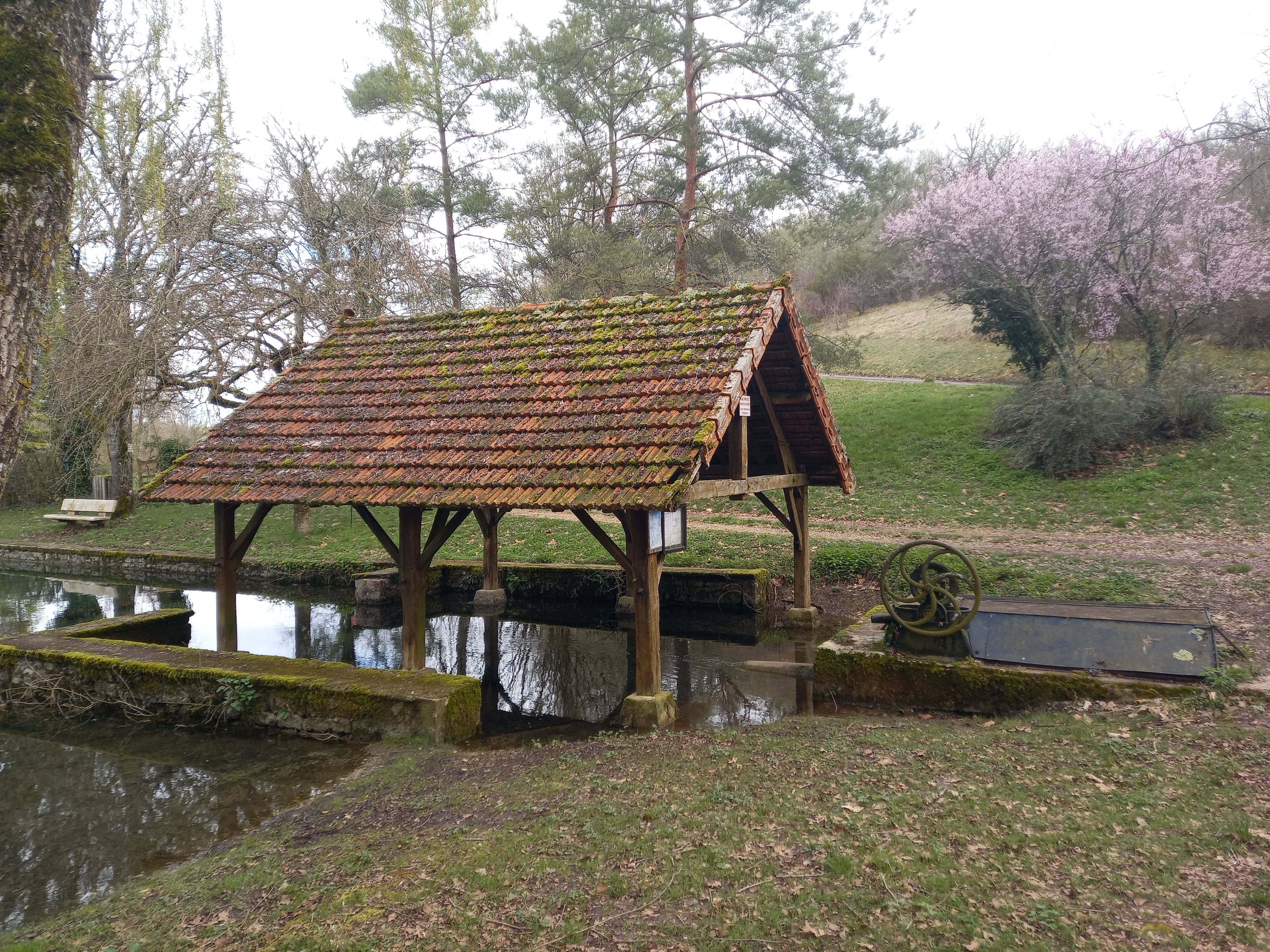 Causalis, Montfaucon - photo 40