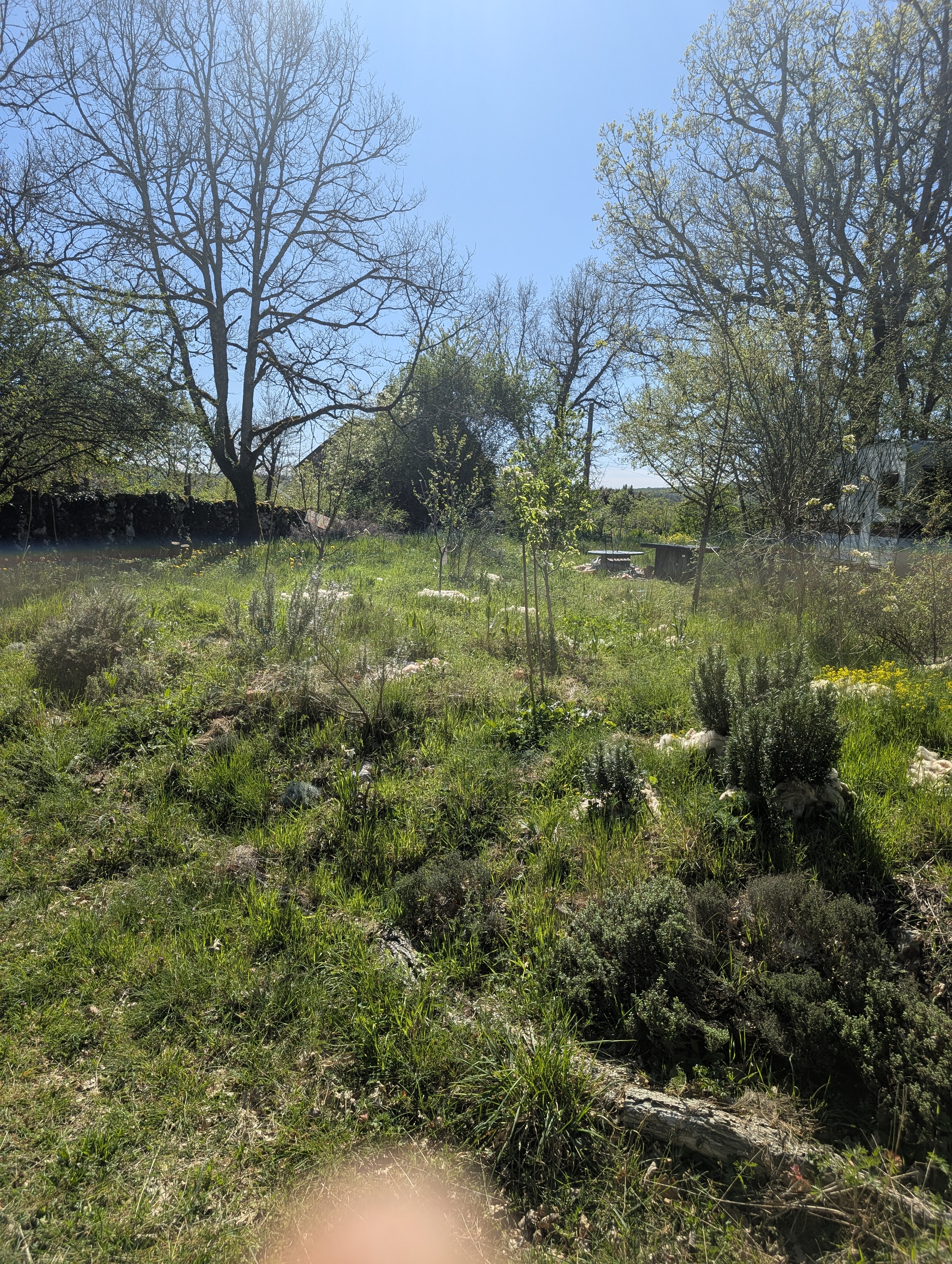 LE CHALET DU CAUSSE, Corn - photo 4