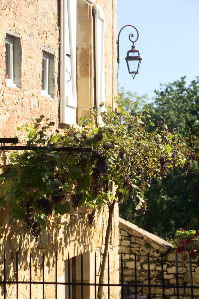 Le Presbytère, Nadaillac-de-Rouge - photo 13