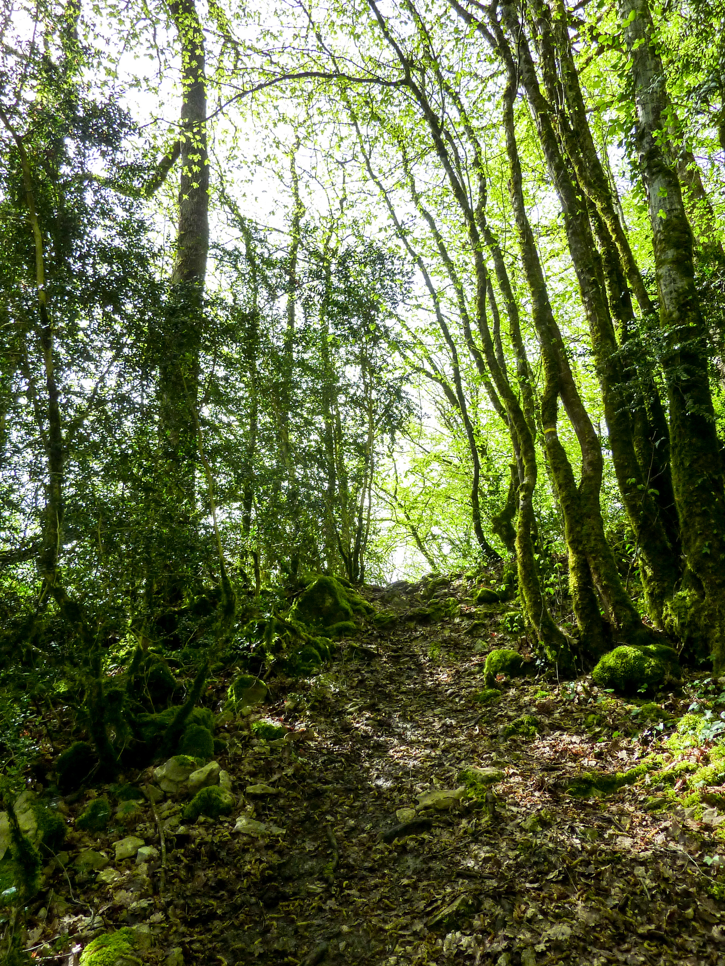 Le Roc - Montée sur le roc des Monges © Lot Tourisme - C. Sanchez