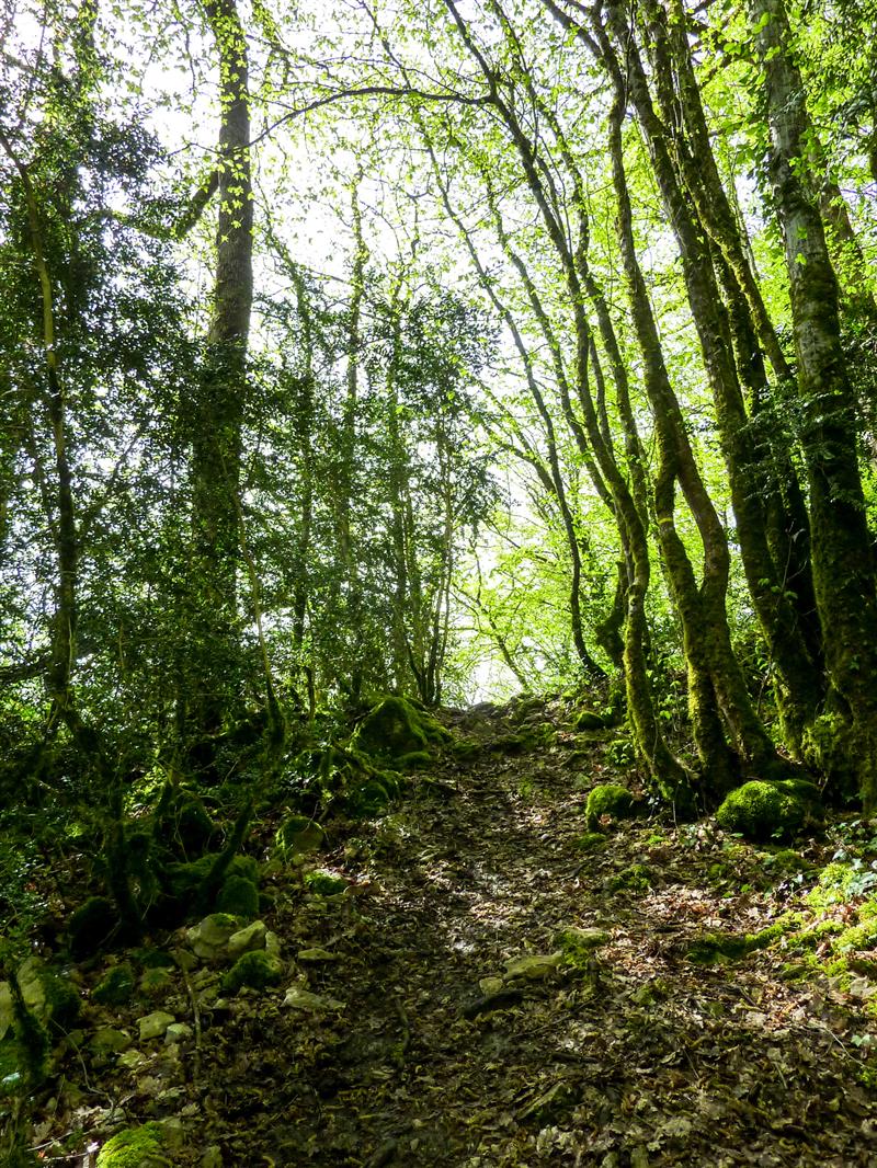 Le Roc - Montée sur le roc des Monges © Lot Tourisme - C. Sanchez