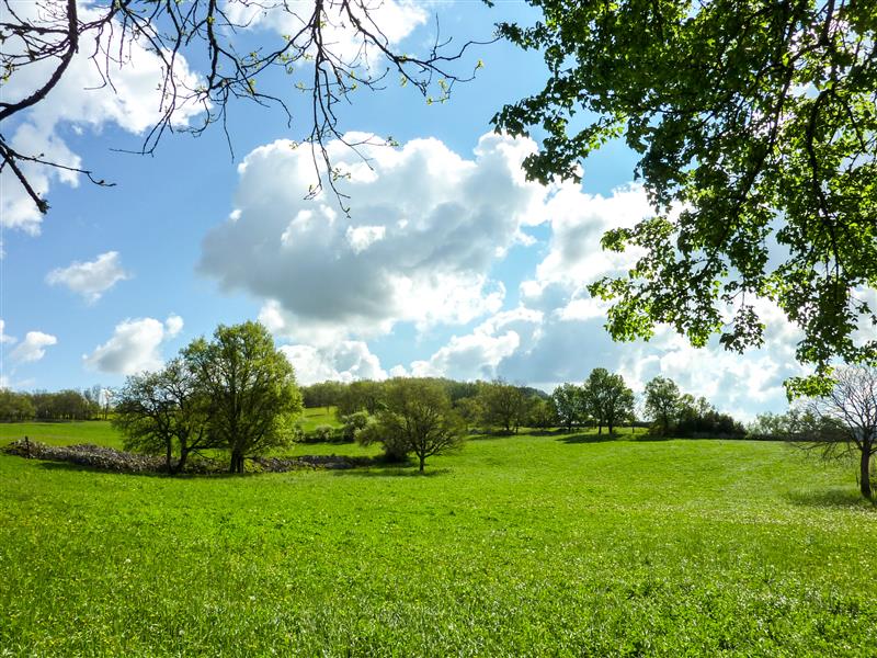 Le Teuron - prairie verdoyante © Lot Tourisme - C. Sanchez