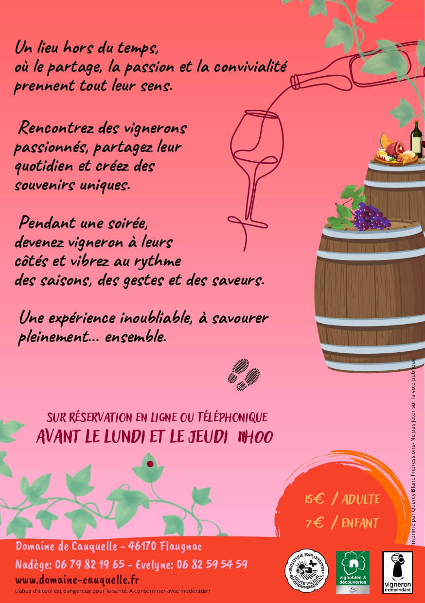 Soirées Wine tour au Domaine de Cauquelle, Saint-Paul-Flaugnac - photo 4