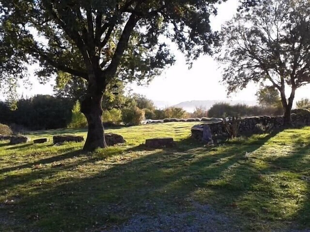 Domaine Des Roches, Corn - photo 22