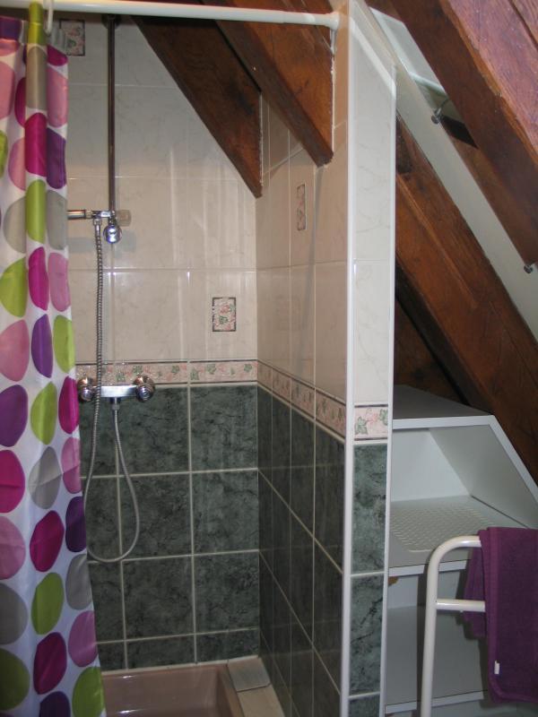 Gîte Le Fournil, Soulomès - photo 8