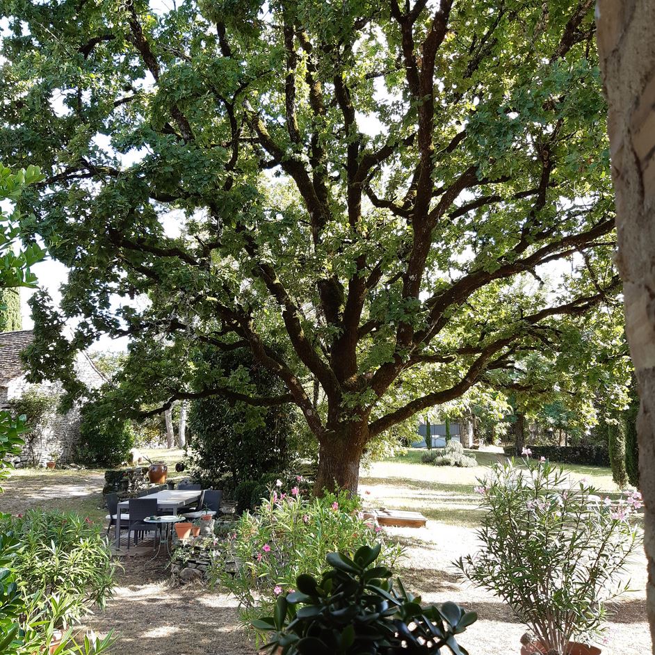 Le Mas Ollier, Varaire - photo 2