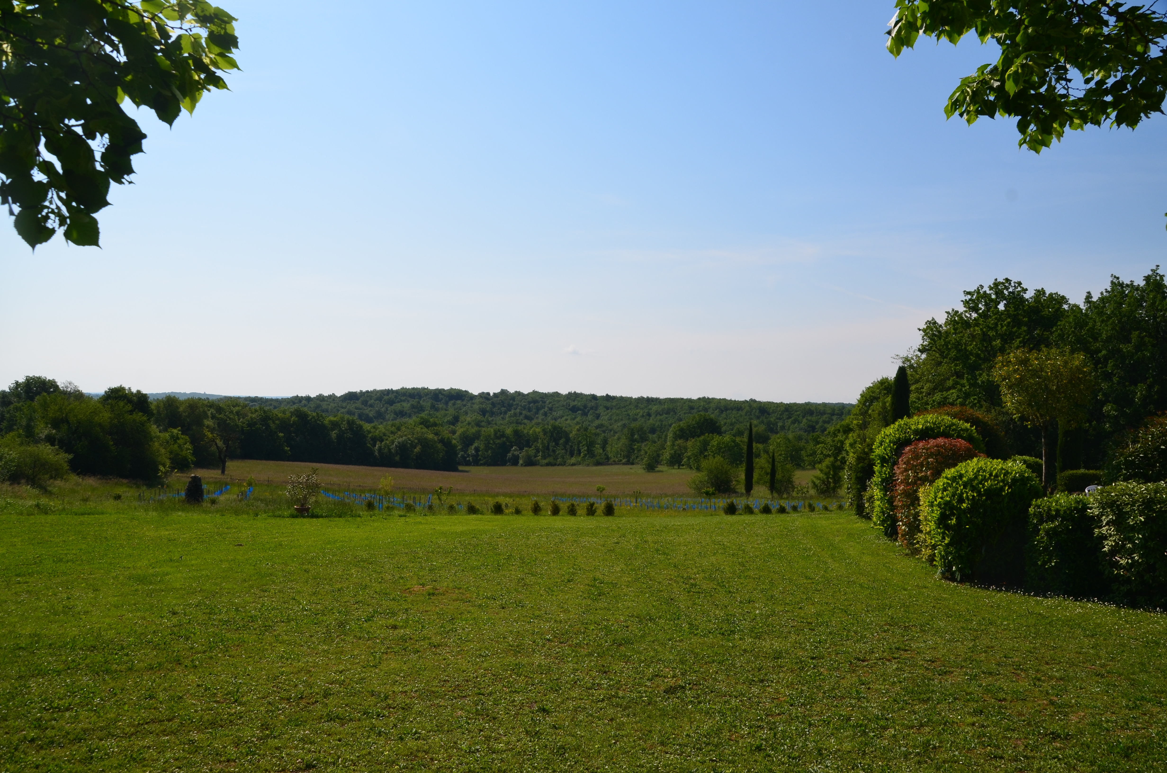 A l'Olivier, Aujols - photo 8