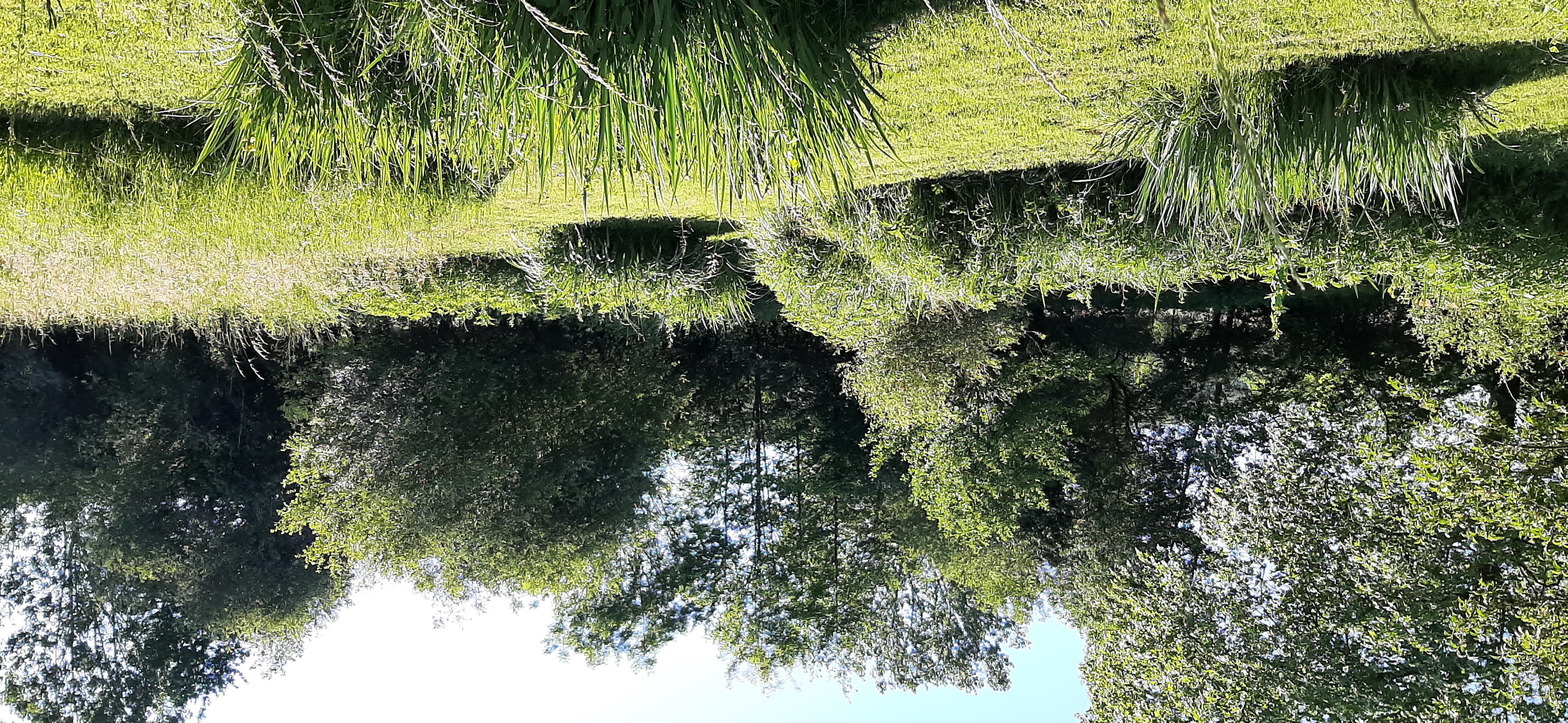 Gîte de Moulin Bas, Gourdon - photo 11