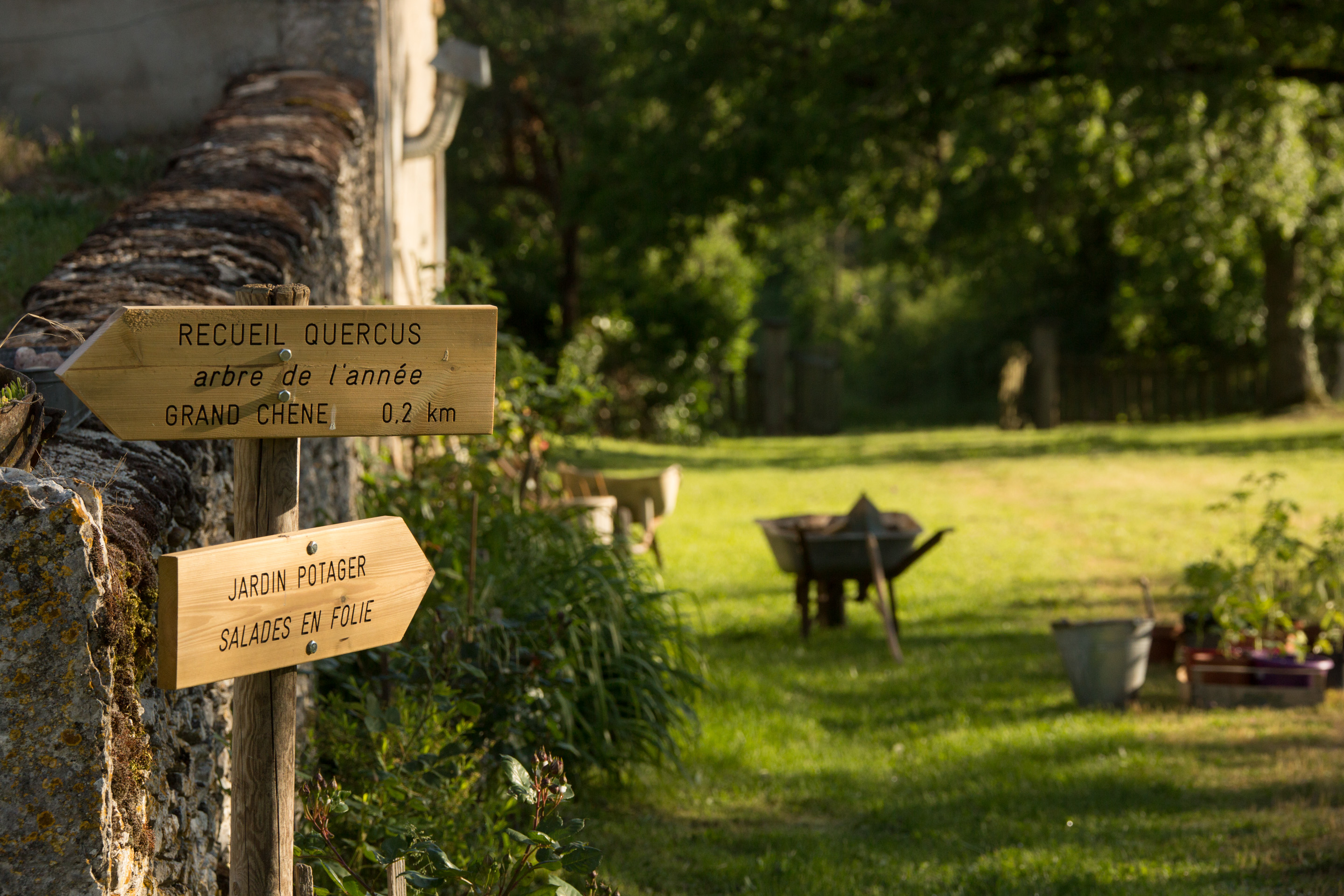 Domaine de Bel air - La Fromagerie, Le Bastit - photo 17