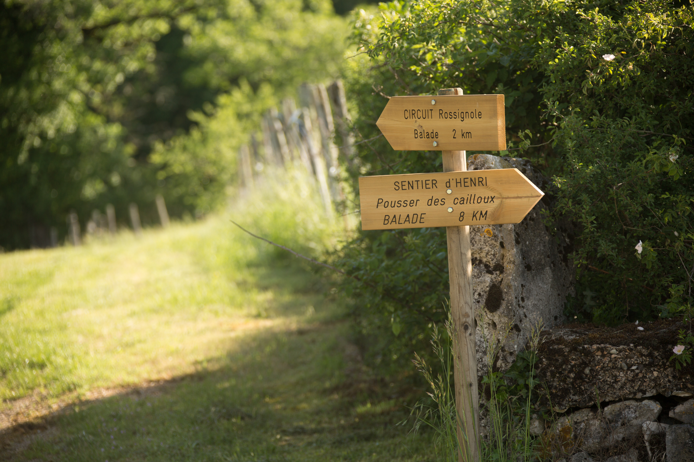 Gîte Les Gratabels, Le Bastit - photo 13