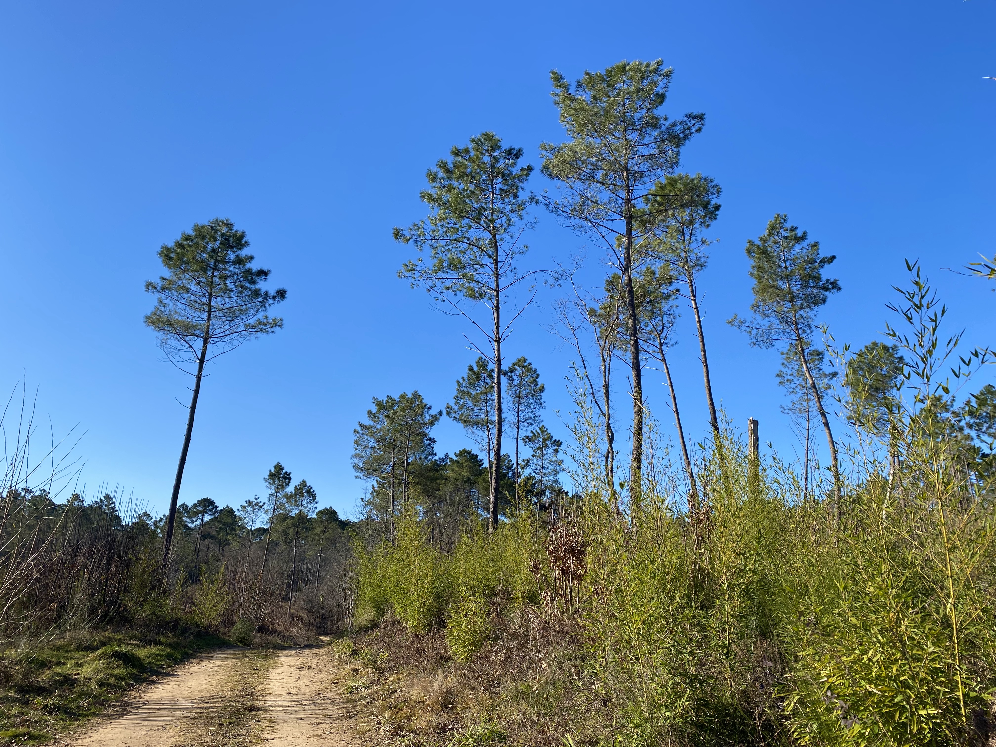Circuit des Trois Communes