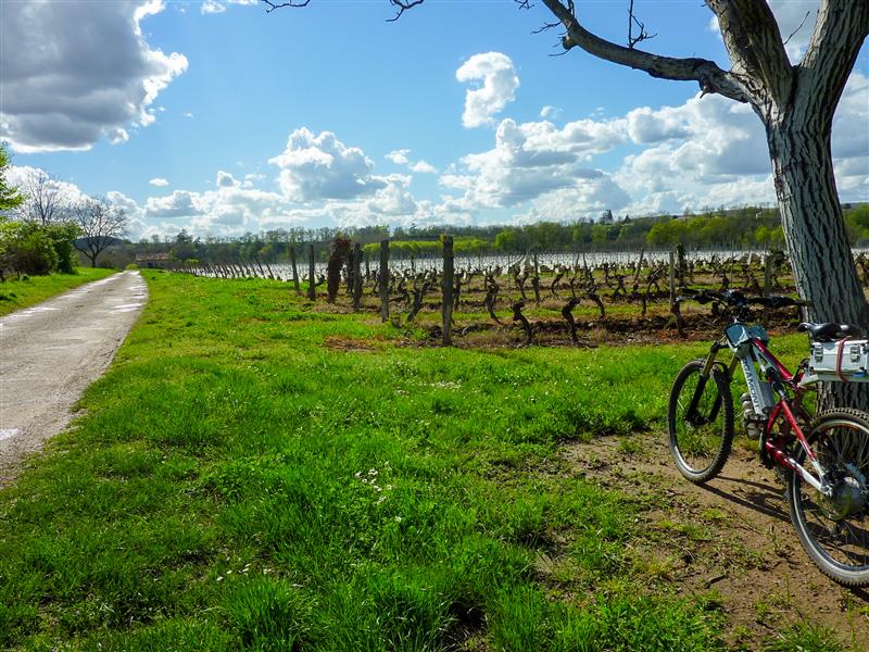 Les Trémouls - Balade dans les vignes © Lot Tourisme - C. Sanchez