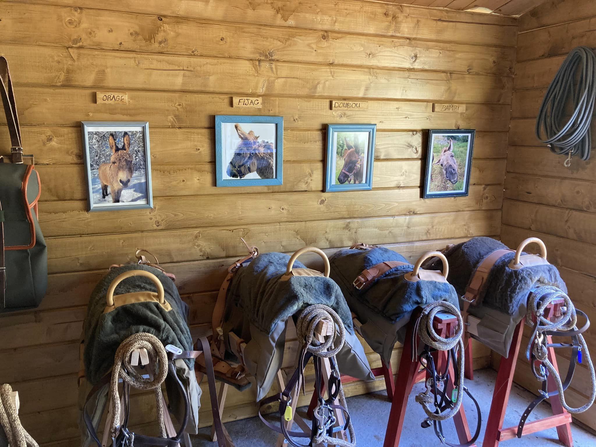 Les ânes de Lapopie, Berganty - photo 5