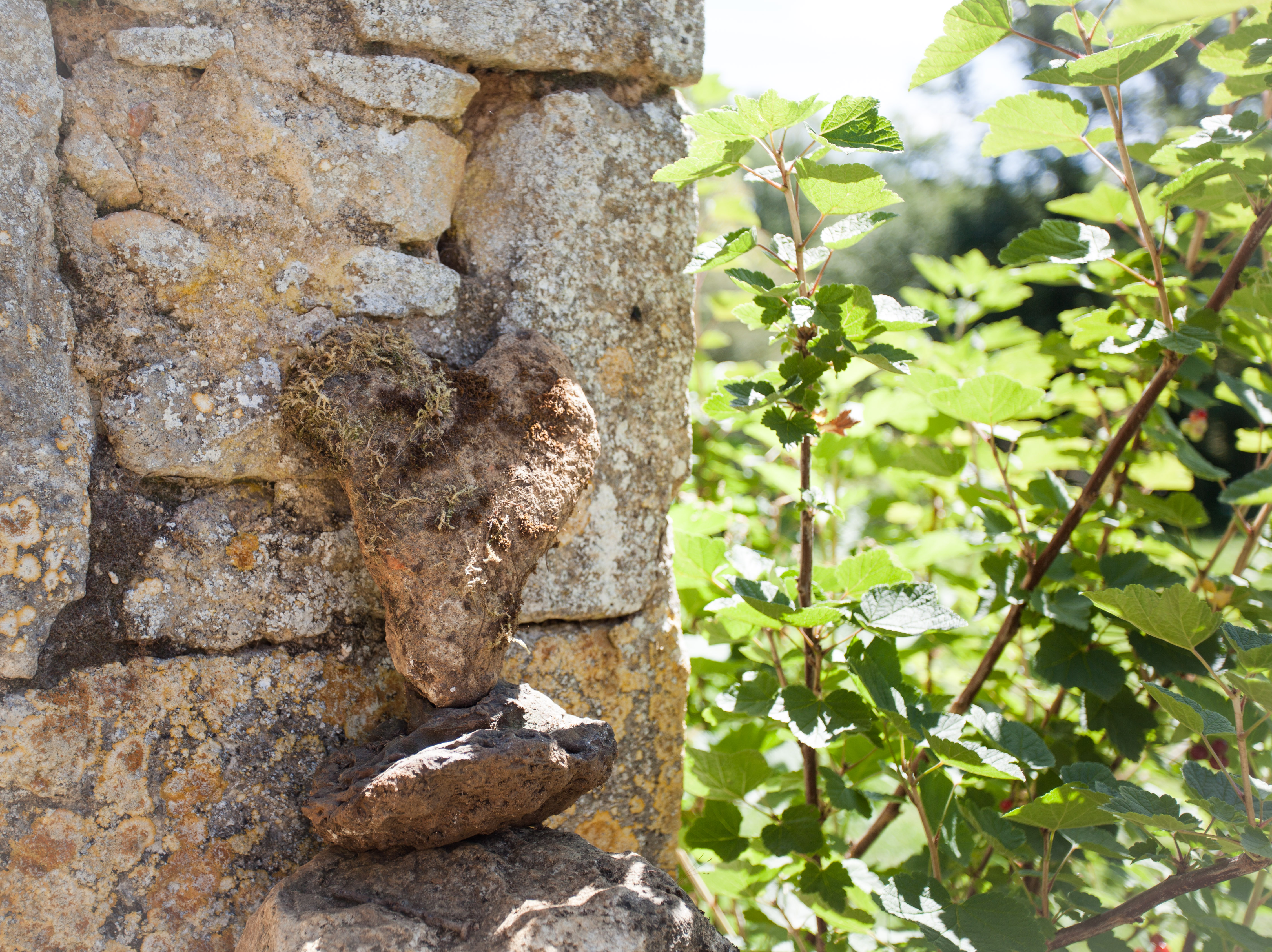 Les Buis de la Borie, Montcabrier - photo 22