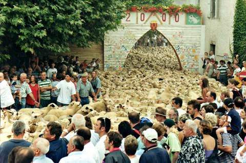 Fête des tondailles de Martel, Martel - photo 2