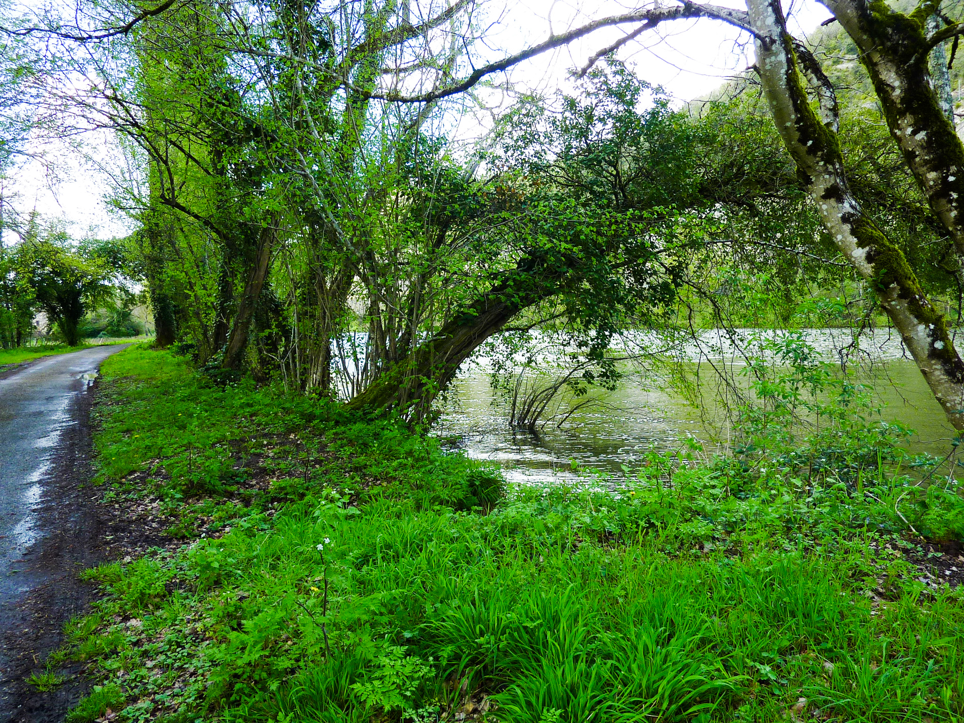 Balade sur les Berges du Lot, Pradines - photo 6