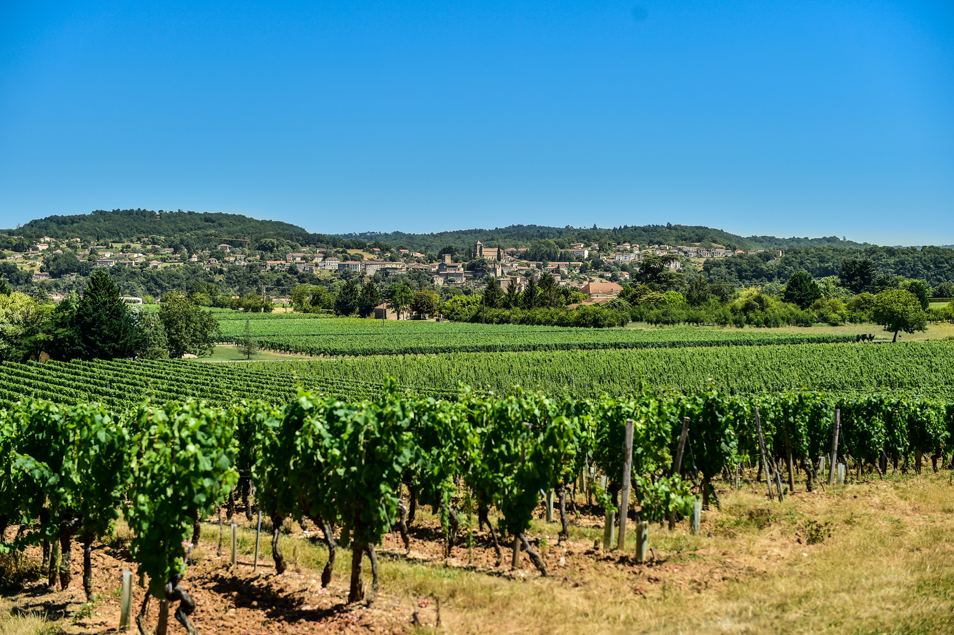 Clos Triguedina
