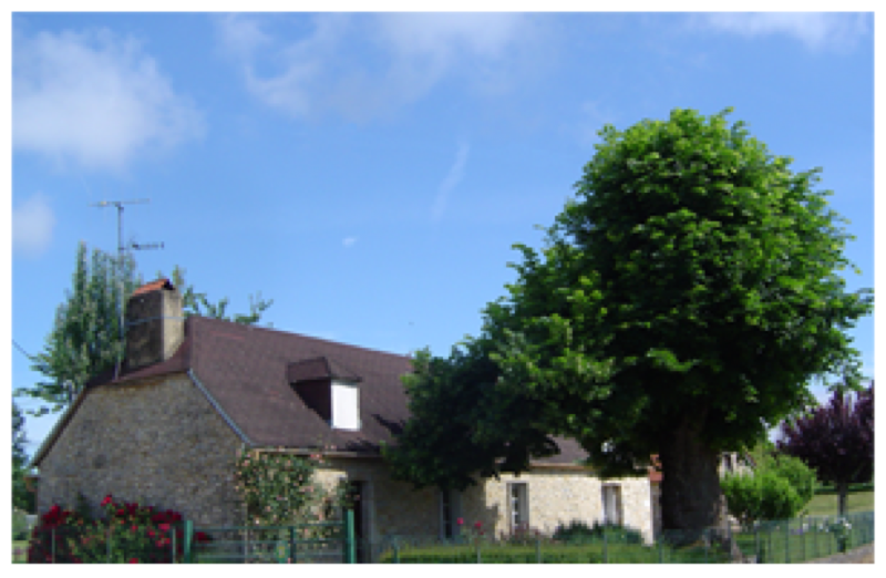 Le Tilleul De Leontine, Saint-Denis-lès-Martel - photo 4