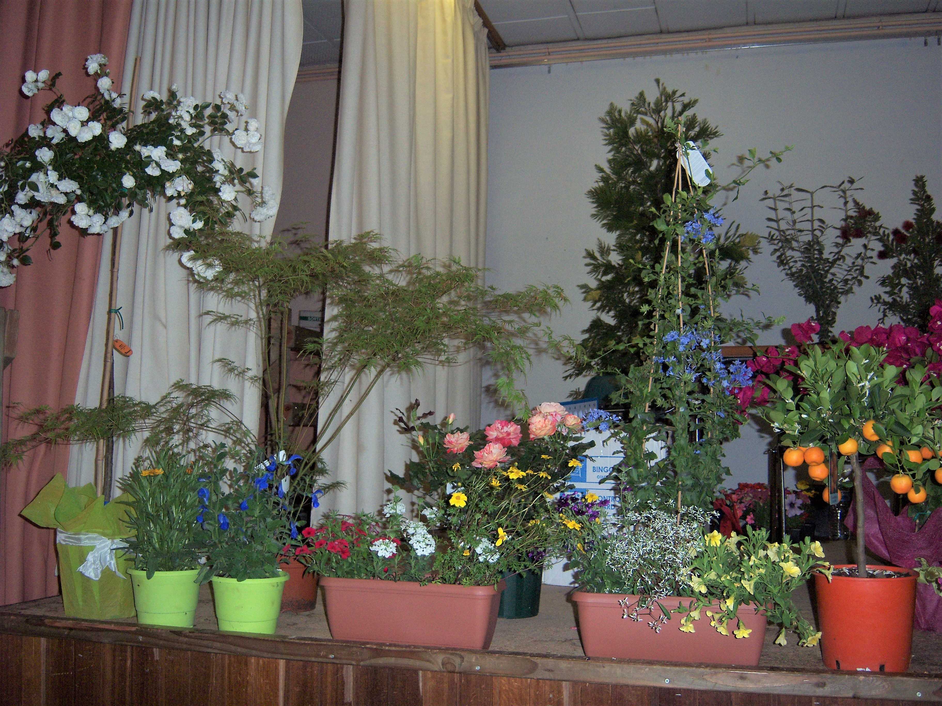 Loto des fleurs
