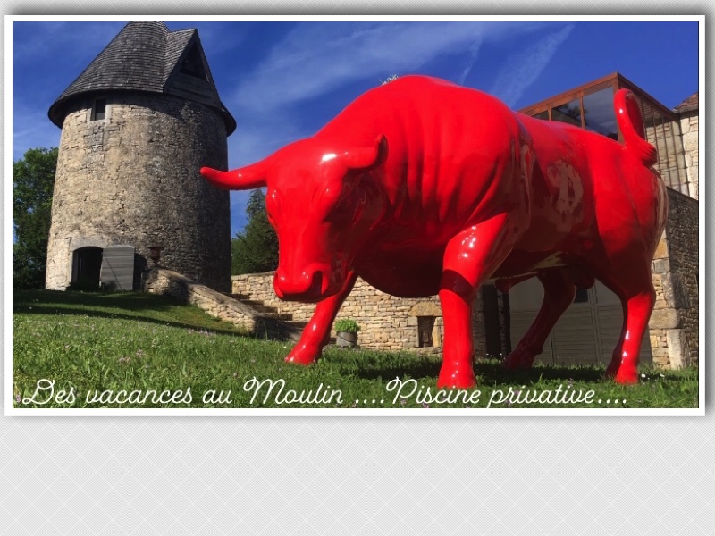 Le Moulin à Vent, Varaire - photo 6