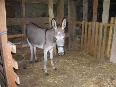 Chez Mado, Touzac - photo 7