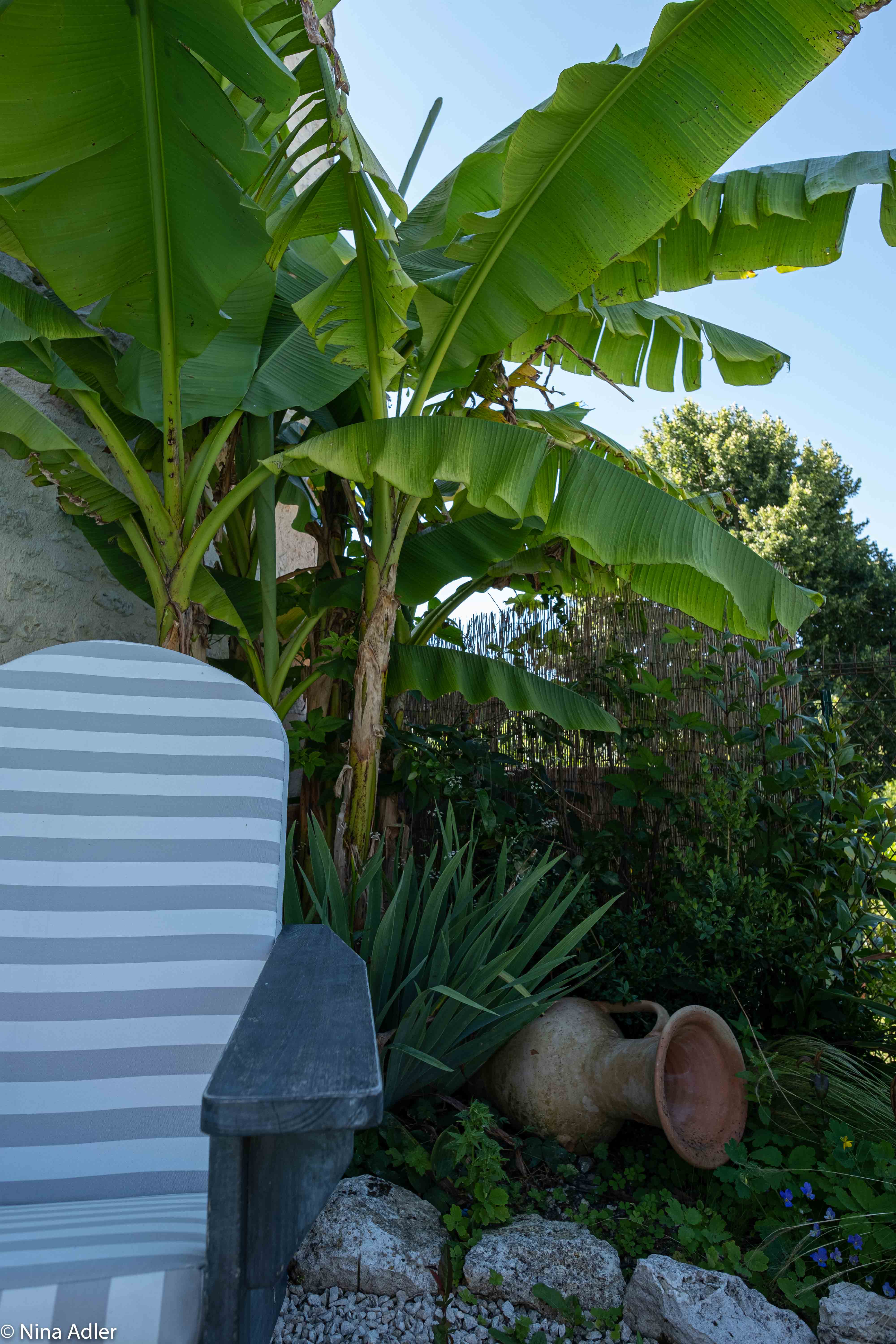 Maison Saint Privat, Montcuq-en-Quercy-Blanc - photo 12