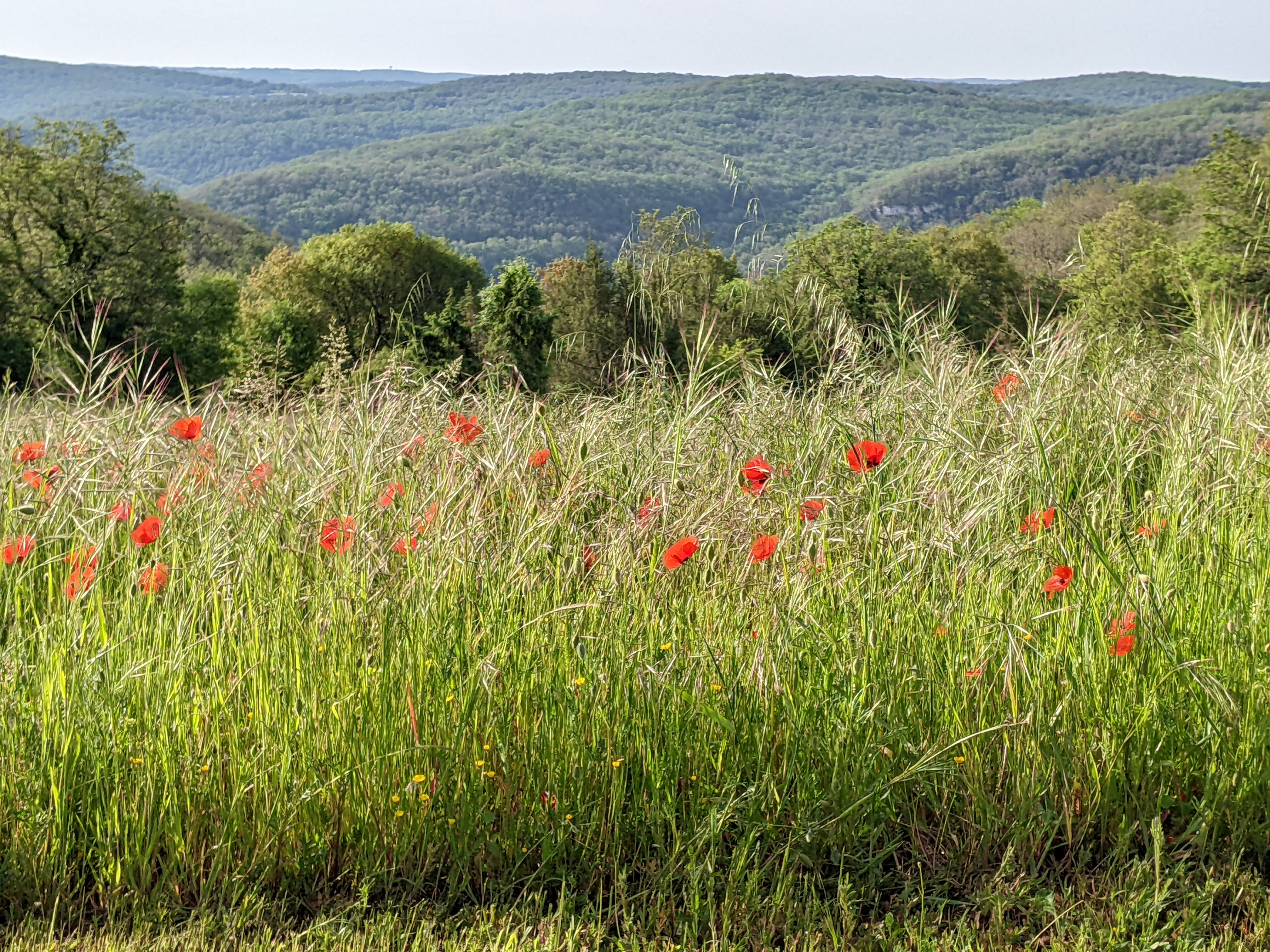 Gîte Clos des Mûriers, Saint-Martin-Labouval - photo 8