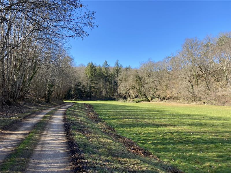 Bord de champs