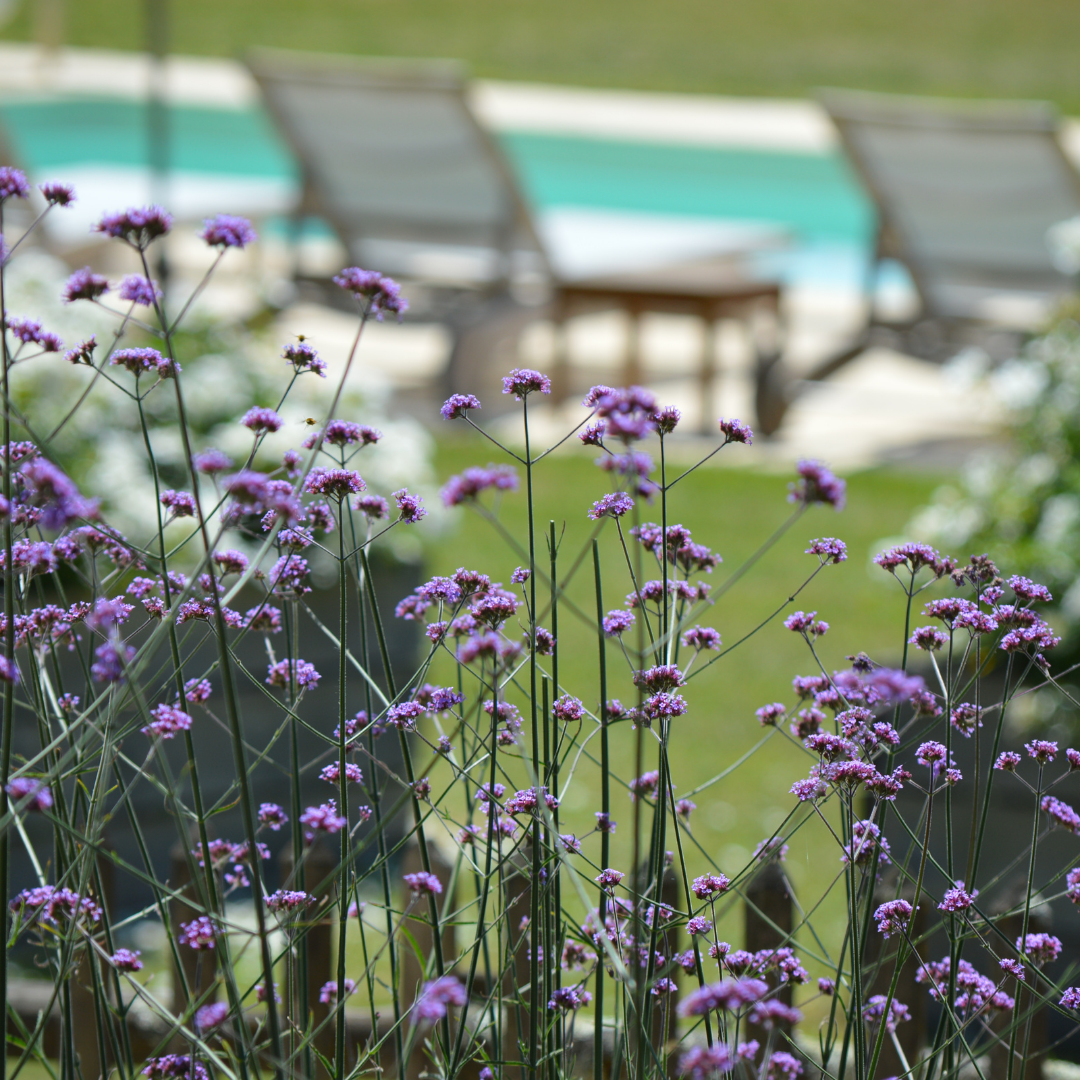 Le Manoir de Malagorse, Cuzance - photo 25