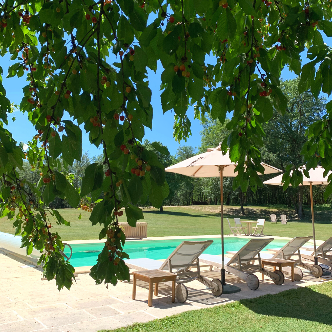 Le Manoir de Malagorse, Cuzance - photo 26