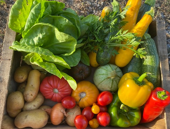 Ferme ouverte au Marais de Gagnac