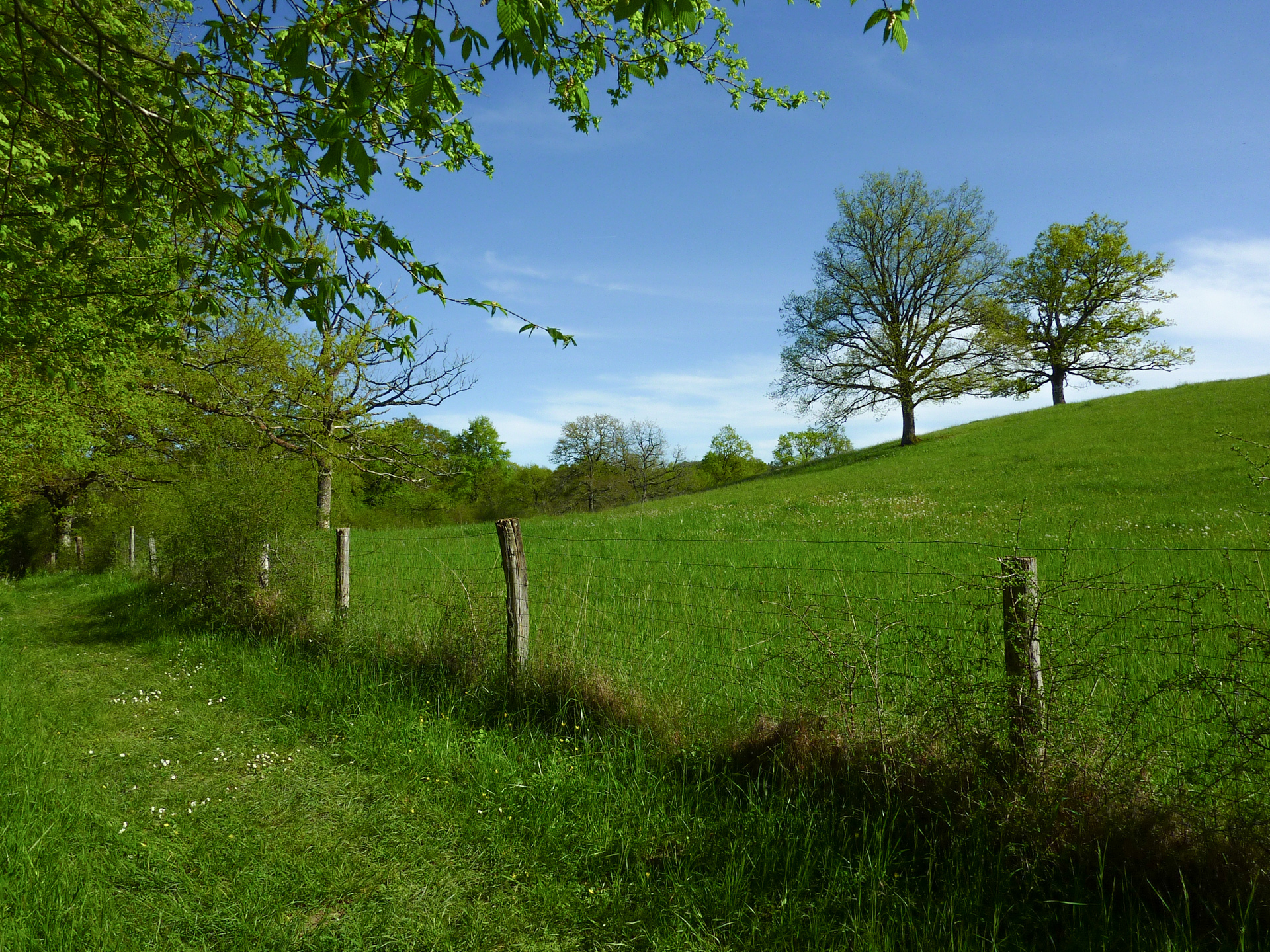 Marais de Bonnefont - Chemin herbeux contournant la coline © Lot Tourisme - C. Sanchez