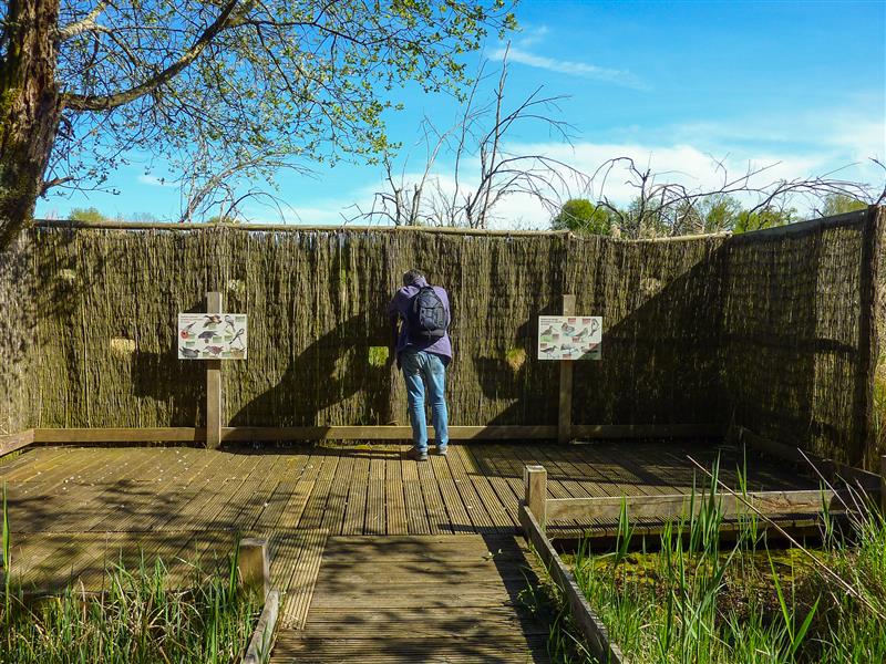 Marais de Bonnefont - Postes d'observations © Lot Tourisme - C. Sanchez