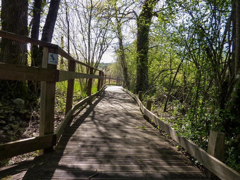 Marais de Bonnefont -Parcours sur pilotis _04 © Lot Tourisme - C. Sanchez