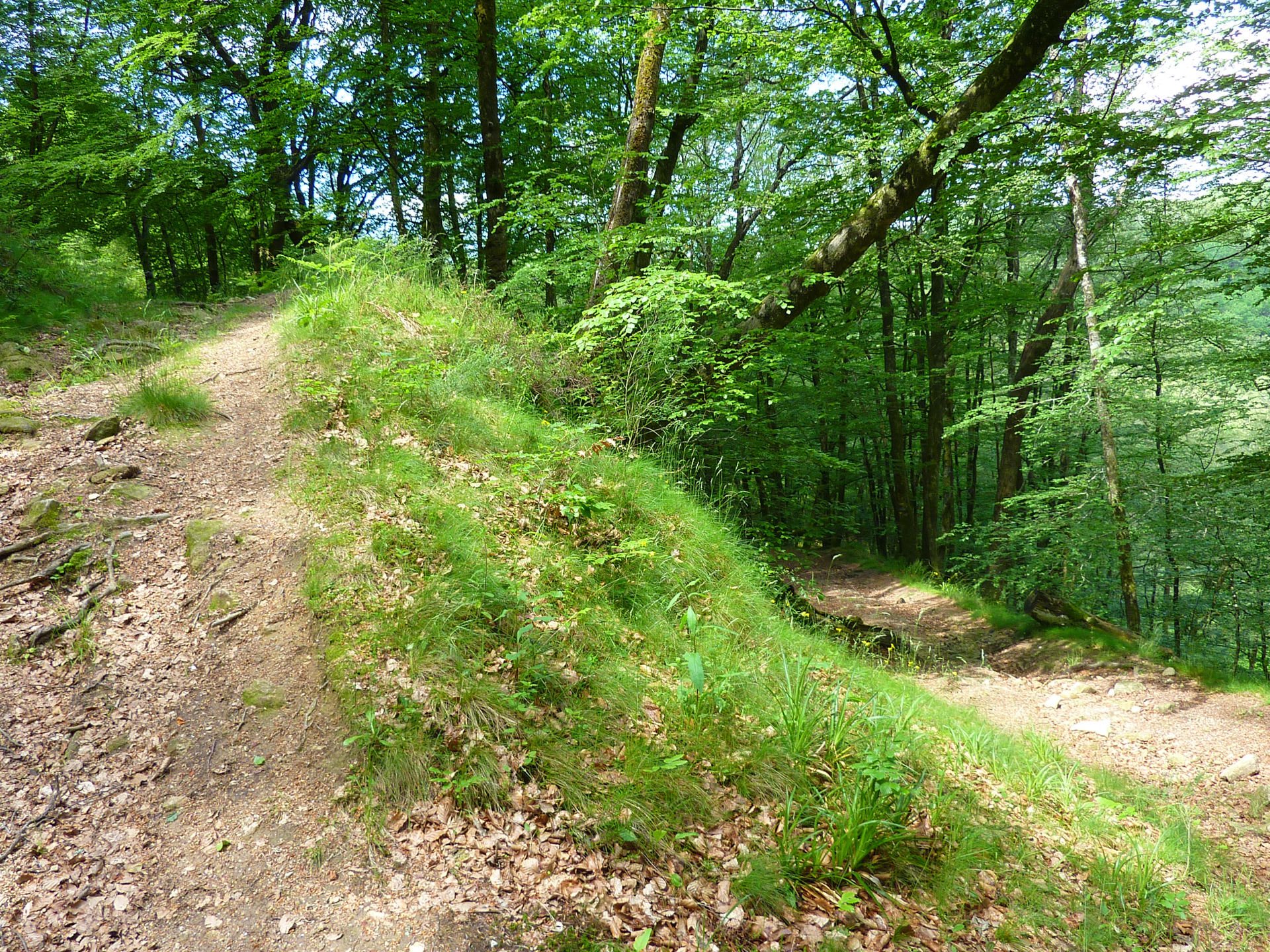 Les Jardins du Ségala, Sousceyrac-en-Quercy - photo 13