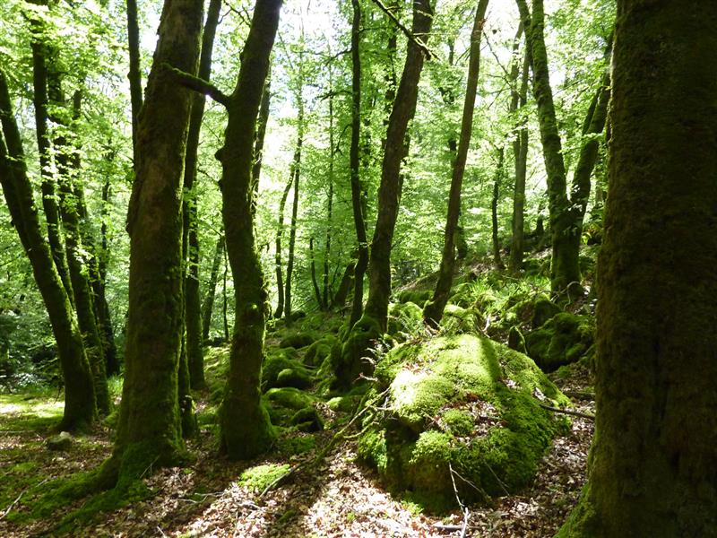 Marraufin - Prés du Ruisseau de Cayla_11 © Lot Tourisme - C. Sanchez