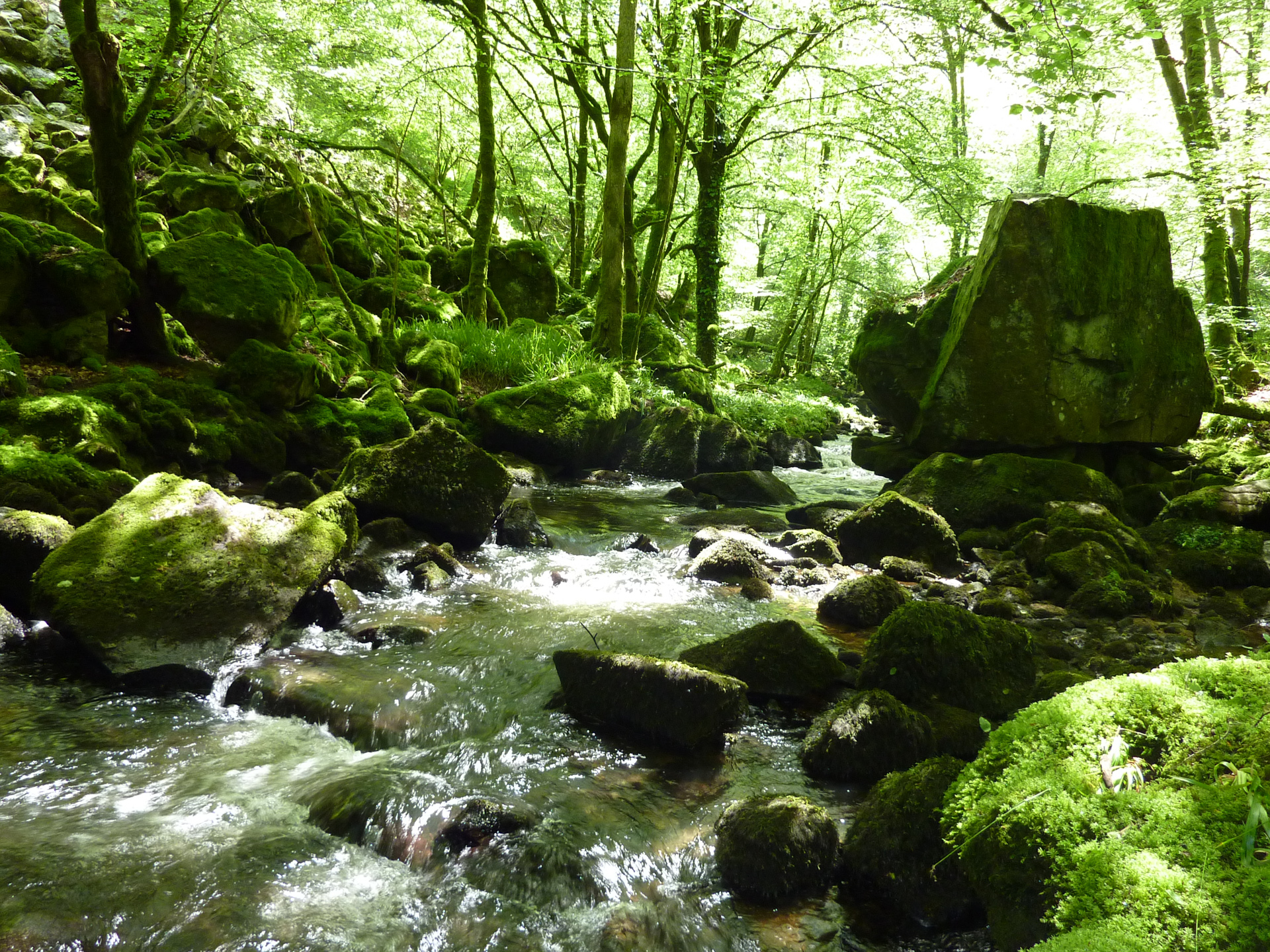 Les Jardins du Ségala, Sousceyrac-en-Quercy - photo 16