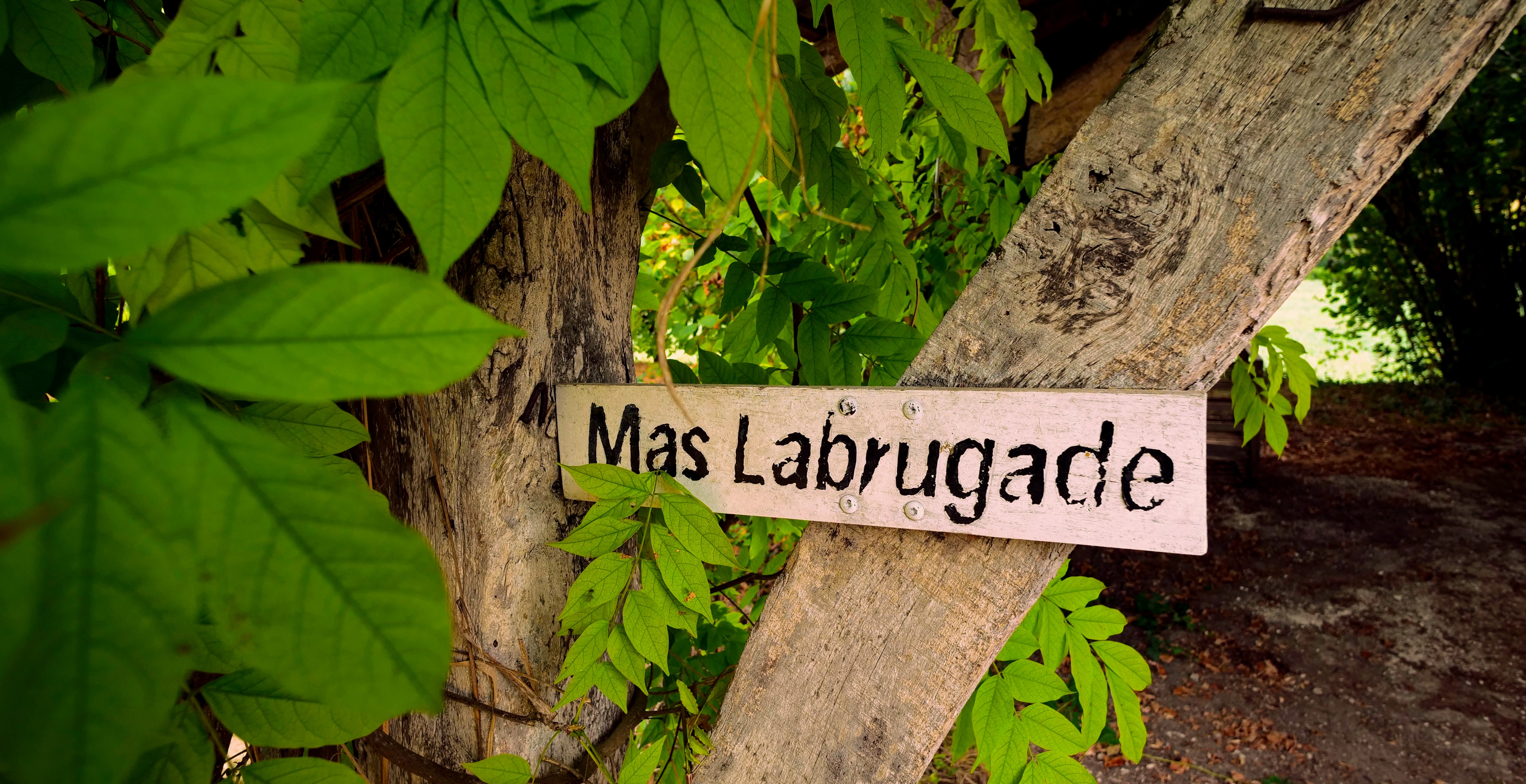 Mas Labrugade, Montcuq-en-Quercy-Blanc - photo 20