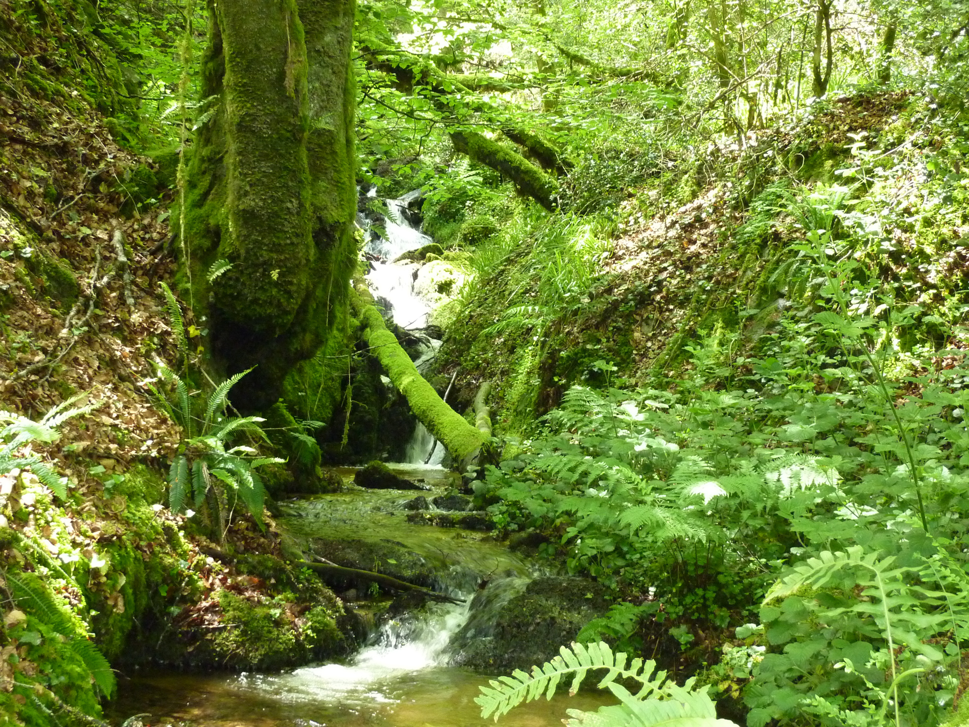 Les Jardins du Ségala, Sousceyrac-en-Quercy - photo 17