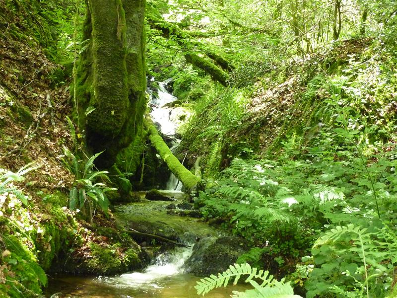 Maurraufin - Source_13 © Lot Tourisme - C. Sanchez