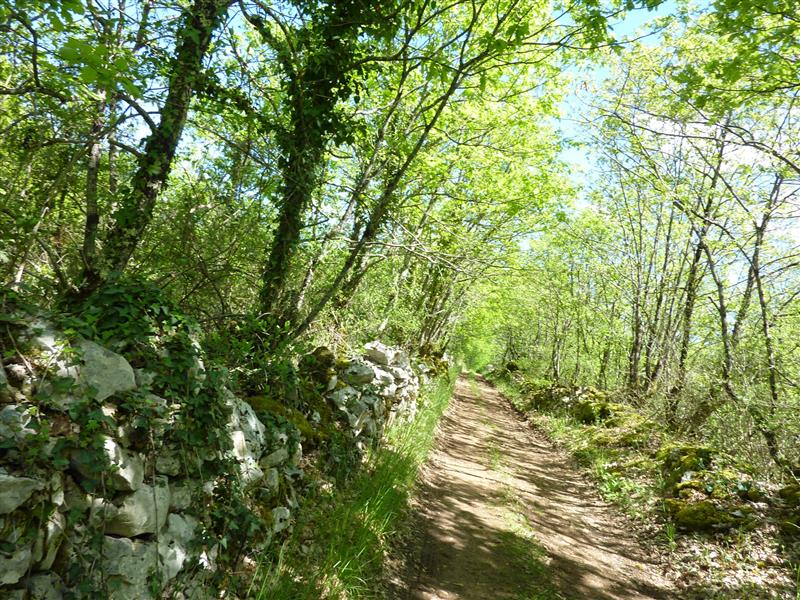 Mayrinhac le Francal - Murets de pierres sèches_18 © Lot Tourisme - C. Sanchez